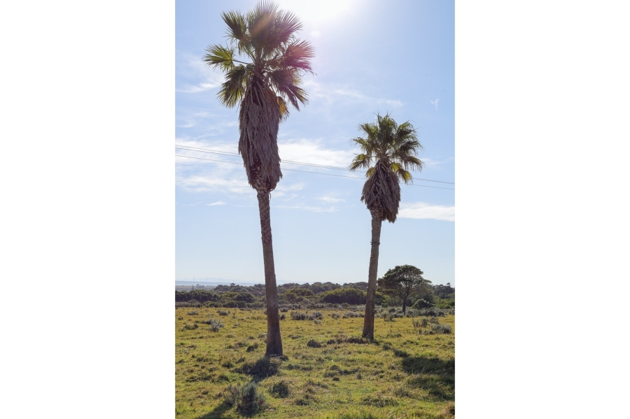 0 Bedroom Property for Sale in Kromme River Estate Eastern Cape